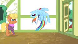 Size: 1000x562 | Tagged: safe, screencap, character:ms. harshwhinny, character:rainbow dash, species:earth pony, species:pegasus, species:pony, episode:flight to the finish, g4, my little pony: friendship is magic, clothing, cute, dashabetes, flip, grin, hat, ms. harshwhinny is not amused, smiling, upside down