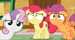 Size: 1667x902 | Tagged: safe, screencap, character:apple bloom, character:scootaloo, character:sweetie belle, species:earth pony, species:pegasus, species:pony, species:unicorn, episode:on your marks, g4, my little pony: friendship is magic, clubhouse, cropped, crusaders clubhouse, cutie mark crusaders, female, filly, floppy ears, looking at you, scared, shrunken pupils, solo
