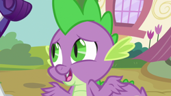 Size: 1920x1080 | Tagged: safe, screencap, character:rarity, character:spike, species:dragon, episode:dragon dropped, g4, my little pony: friendship is magic, male, solo, solo focus, winged spike