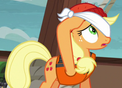 Size: 488x353 | Tagged: safe, screencap, character:applejack, species:earth pony, species:pony, episode:p.p.o.v. (pony point of view), g4, my little pony: friendship is magic, blindfold, clothing, cropped, female, hat, mare, solo