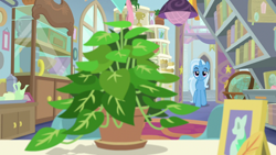 Size: 1920x1080 | Tagged: safe, screencap, character:phyllis, character:trixie, species:pony, species:unicorn, episode:a horse shoe-in, g4, my little pony: friendship is magic, female, mare, philodendron, plant, potted plant, starlight's office