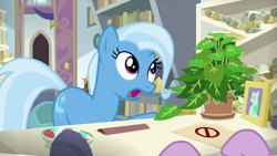 Size: 1920x1080 | Tagged: safe, screencap, character:phyllis, character:starlight glimmer, character:trixie, species:pony, species:unicorn, episode:a horse shoe-in, g4, my little pony: friendship is magic, female, mare, philodendron, plant, potted plant