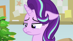 Size: 1920x1080 | Tagged: safe, screencap, character:phyllis, character:starlight glimmer, species:pony, species:unicorn, episode:a horse shoe-in, g4, my little pony: friendship is magic, female, lidded eyes, mare, solo