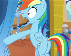 Size: 913x722 | Tagged: safe, screencap, character:rainbow dash, species:pegasus, species:pony, episode:grannies gone wild, g4, my little pony: friendship is magic, bipedal, butt, cropped, female, jaw drop, mare, open mouth, plot, shrunken pupils, solo