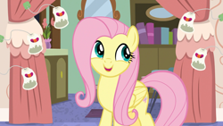 Size: 1920x1080 | Tagged: safe, screencap, character:fluttershy, species:pegasus, species:pony, episode:discordant harmony, g4, my little pony: friendship is magic, female, ginseng teabags, mare