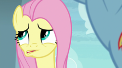 Size: 1920x1080 | Tagged: safe, screencap, character:fluttershy, character:rainbow dash, species:pegasus, species:pony, episode:daring doubt, g4, my little pony: friendship is magic, confused, doubt, faec, unsure