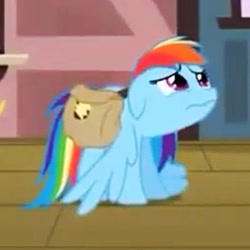 Size: 471x471 | Tagged: safe, screencap, character:rainbow dash, species:pegasus, species:pony, episode:games ponies play, g4, my little pony: friendship is magic, bag, female, mare, sad, saddle bag, solo, wavy mouth