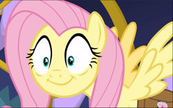 Size: 1502x942 | Tagged: safe, screencap, character:fluttershy, episode:a health of information, g4, my little pony: friendship is magic, cropped, shrunken pupils, smiling, solo, spread wings, wings