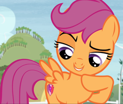 Size: 1104x938 | Tagged: safe, screencap, character:scootaloo, species:pegasus, species:pony, episode:hard to say anything, g4, my little pony: friendship is magic, cropped, lidded eyes, raised eyebrow, smiling, solo, thinking