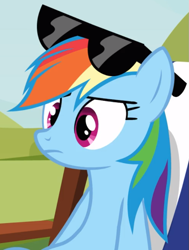 Size: 641x846 | Tagged: safe, screencap, character:rainbow dash, species:pegasus, species:pony, episode:too many pinkie pies, g4, my little pony: friendship is magic, chair, cropped, solo, sunglasses