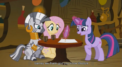 Size: 853x470 | Tagged: safe, screencap, character:fluttershy, character:twilight sparkle, character:zecora, species:zebra, barney, tea, youtube caption