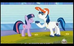 Size: 1024x640 | Tagged: safe, screencap, character:shining armor, character:twilight sparkle, episode:games ponies play, g4, my little pony: friendship is magic, youtube caption