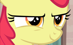 Size: 1503x933 | Tagged: safe, screencap, character:apple bloom, episode:hard to say anything, g4, my little pony: friendship is magic, close-up, cropped, evil grin, grin, narrowed eyes, smiling, solo
