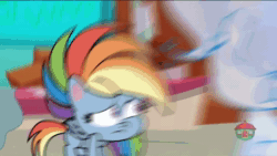 Size: 960x540 | Tagged: safe, screencap, character:rainbow dash, species:pegasus, species:pony, episode:the fluttershy effect, g4.5, my little pony:pony life, spoiler:pony life s01e10, animated, eyepatch, female, hologram, mare, on back, pink fury, screaming, sound, webm