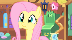 Size: 846x470 | Tagged: safe, screencap, character:fluttershy, species:pegasus, species:pony, episode:stare master, g4, my little pony: friendship is magic, female, solo