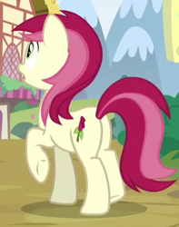 Size: 327x414 | Tagged: safe, screencap, character:roseluck, g4, butt, cropped, plot, solo