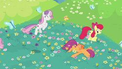 Size: 1920x1080 | Tagged: safe, screencap, character:apple bloom, character:scootaloo, character:sweetie belle, species:pegasus, species:pony, episode:growing up is hard to do, g4, my little pony: friendship is magic, butterfly, cutie mark crusaders, older