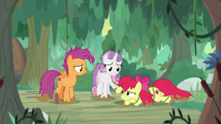 Size: 1920x1080 | Tagged: safe, screencap, character:apple bloom, character:scootaloo, character:sweetie belle, species:pegasus, species:pony, episode:growing up is hard to do, g4, my little pony: friendship is magic, cutie mark crusaders, older