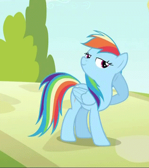 Size: 300x338 | Tagged: safe, screencap, character:rainbow dash, episode:the mysterious mare do well, g4, my little pony: friendship is magic, animated, camera flashes, cropped, offscreen character, pose, solo
