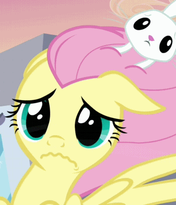 Size: 348x405 | Tagged: safe, screencap, character:angel bunny, character:fluttershy, species:pegasus, species:pony, species:rabbit, episode:hurricane fluttershy, g4, my little pony: friendship is magic, animal, animated, cropped, duo, female, floppy ears, loop, mare, pet, wavy mouth, wind blowing, wind blown hair