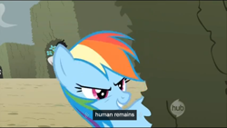 Size: 1366x768 | Tagged: safe, screencap, character:rainbow dash, species:human, episode:the return of harmony, g4, my little pony: friendship is magic, canterlot hedge maze, solo, youtube caption