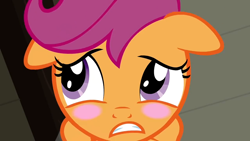 Size: 1152x648 | Tagged: safe, screencap, character:scootaloo, species:pegasus, species:pony, episode:ponyville confidential, g4, my little pony: friendship is magic, blushing, female, filly, floppy ears, foal, gritted teeth, solo, teeth