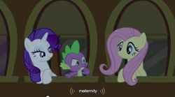 Size: 853x474 | Tagged: safe, screencap, character:fluttershy, character:rarity, character:spike, youtube caption