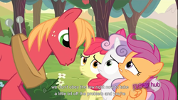Size: 1366x768 | Tagged: safe, screencap, character:apple bloom, character:big mcintosh, character:scootaloo, character:sweetie belle, species:earth pony, species:pegasus, species:pony, episode:ponyville confidential, g4, my little pony: friendship is magic, cutie mark crusaders, male, stallion, youtube caption, youtube link