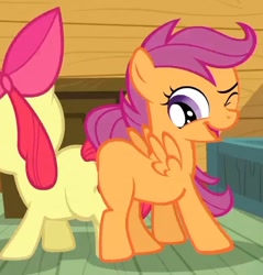 Size: 654x683 | Tagged: safe, screencap, character:apple bloom, character:scootaloo, species:pegasus, species:pony, butt bump, butt to butt, butt touch, flank, wink