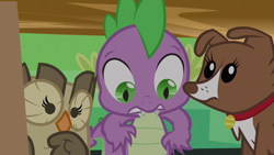 Size: 1280x720 | Tagged: safe, screencap, character:owlowiscious, character:spike, character:winona, episode:just for sidekicks, g4, my little pony: friendship is magic, out of context, reaction image