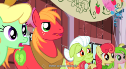 Size: 925x508 | Tagged: safe, screencap, character:apple bumpkin, character:apple honey, character:big mcintosh, character:granny smith, character:red gala, species:earth pony, species:pony, episode:the last roundup, g4, my little pony: friendship is magic, elderly, female, male, mare, stallion, youtube caption