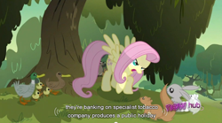 Size: 852x473 | Tagged: safe, screencap, character:fluttershy, species:duck, species:rabbit, episode:hurricane fluttershy, g4, my little pony: friendship is magic, badger, chipmunk, duckling, hub logo, mouse, squirrel, youtube caption