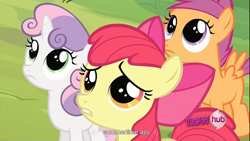 Size: 1366x768 | Tagged: safe, screencap, character:apple bloom, character:scootaloo, character:sweetie belle, species:pegasus, species:pony, cutie mark crusaders, vulgar, youtube caption, youtube link