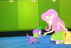 Size: 481x328 | Tagged: safe, screencap, character:fluttershy, character:spike, species:dog, equestria girls:equestria girls, g4, my little pony:equestria girls, backpack, cropped, dog treat, duo, food, spike the dog