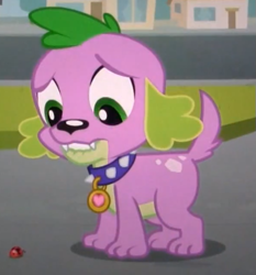 Size: 495x532 | Tagged: safe, screencap, character:spike, species:dog, equestria girls:equestria girls, g4, my little pony:equestria girls, ladybug, solo, spike the dog