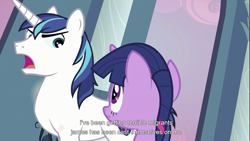 Size: 1366x768 | Tagged: safe, screencap, character:shining armor, character:twilight sparkle, youtube caption, youtube link