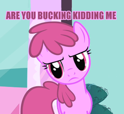 Size: 496x457 | Tagged: safe, screencap, character:berry punch, character:berryshine, episode:green isn't your color, g4, my little pony: friendship is magic, caption, image macro, meme
