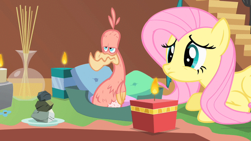 Size: 853x480 | Tagged: safe, screencap, character:fluttershy, character:philomena, episode:a bird in the hoof, g4, my little pony: friendship is magic, animated, aromatherapy, candle, feather, molting, plate, pouting, rock