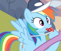 Size: 640x540 | Tagged: safe, screencap, character:rainbow dash, character:spike, episode:hurricane fluttershy, g4, my little pony: friendship is magic, arm, blowing, blowing whistle, cap, claw, clothing, coach, cropped, hat, puffy cheeks, rainblow dash, rainbow dashs coaching whistle, sports, that pony sure does love whistles, tornado, trainer, training, whistle, whistle necklace