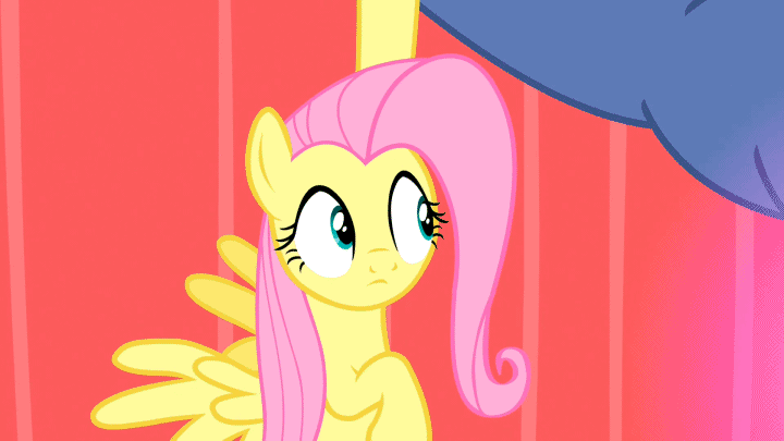 Size: 720x405 | Tagged: safe, screencap, character:fluttershy, episode:putting your hoof down, g4, my little pony: friendship is magic, animated, cute, holding, shyabetes