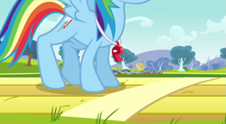 Size: 891x489 | Tagged: safe, screencap, character:rainbow dash, episode:hurricane fluttershy, g4, my little pony: friendship is magic, cracking joints, flying, head out of frame, solo, sports, stretching, training, whistle