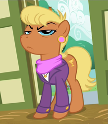 Size: 925x1063 | Tagged: safe, screencap, character:ms. harshwhinny, species:earth pony, species:pony, episode:flight to the finish, g4, my little pony: friendship is magic, angry, clothing, cropped, female, mare, solo, unamused