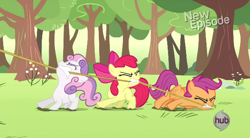Size: 610x336 | Tagged: safe, screencap, character:apple bloom, character:scootaloo, character:sweetie belle, species:pegasus, species:pony, episode:flight to the finish, g4, my little pony: friendship is magic, cutie mark crusaders, hub logo
