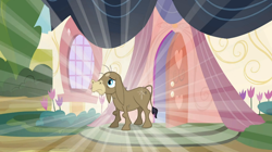 Size: 1054x592 | Tagged: safe, screencap, character:cranky doodle donkey, species:donkey, episode:a friend in deed, g4, my little pony: friendship is magic, shine, solo
