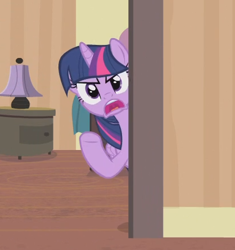 Size: 414x440 | Tagged: safe, screencap, character:twilight sparkle, character:twilight sparkle (alicorn), species:alicorn, species:pony, episode:rarity takes manehattan, g4, my little pony: friendship is magic, angry, bangs, cropped, door, female, frown, manefair hotel, manehattan, mare, open mouth, reaction image, solo, uvula, yelling, you're welcome