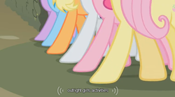 Size: 638x356 | Tagged: safe, screencap, character:applejack, character:fluttershy, character:pinkie pie, character:rainbow dash, character:rarity, character:twilight sparkle, episode:the return of harmony, g4, my little pony: friendship is magic, canterlot hedge maze, hooves, legs, youtube caption