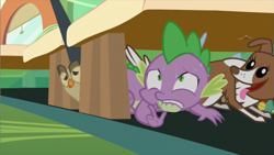 Size: 853x480 | Tagged: safe, screencap, character:owlowiscious, character:spike, character:winona, episode:just for sidekicks, g4, my little pony: friendship is magic