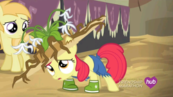 Size: 1440x808 | Tagged: safe, screencap, character:apple bloom, character:noi, species:earth pony, species:pony, episode:simple ways, g4, my little pony: friendship is magic, adorabloom, boots, clothing, cute, female, filly, looking up, open mouth, shoes, solo