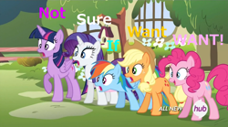 Size: 1060x591 | Tagged: safe, screencap, character:applejack, character:pinkie pie, character:rainbow dash, character:rarity, character:twilight sparkle, character:twilight sparkle (alicorn), species:alicorn, species:pony, episode:filli vanilli, g4, my little pony: friendship is magic, blue text, clothing, female, hat, hub logo, hubble, image macro, mare, meme, not sure if want, open mouth, pink text, purple text, smiling, varying degrees of want, want