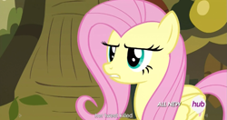 Size: 1151x609 | Tagged: safe, screencap, character:fluttershy, episode:filli vanilli, g4, my little pony: friendship is magic, all new, hub logo, meme, solo, text, youtube caption